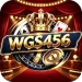 wgs456 game